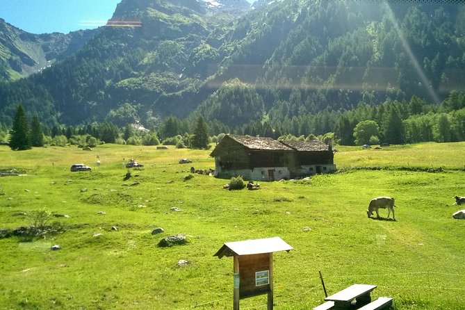 Lake Como, Swiss Alps and Bernina train. From Milan - Comfort and Convenience