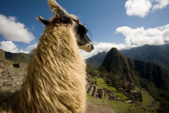 Machu Picchu Day Trip from Sacred Valley - FAQ