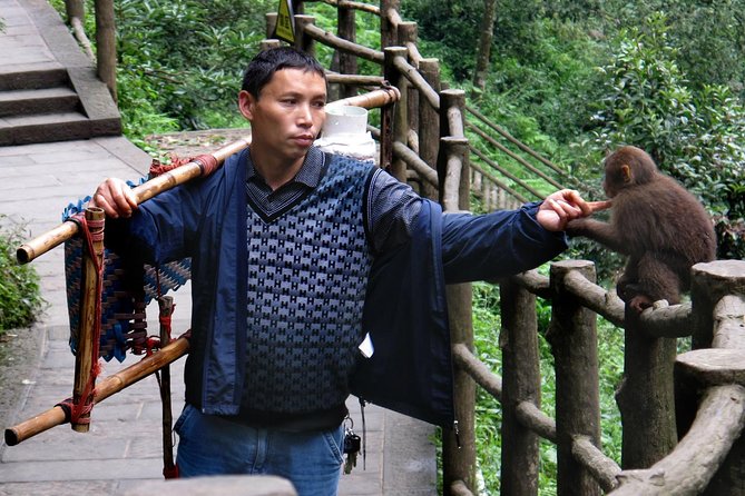 Private Day Tour: Mount Emei Tour by high-speed train from Chengdu - Frequently Asked Questions