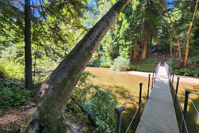 Train Ride Adventure through Mother Natures Giant Redwoods Park - FAQ