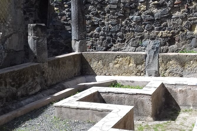Transfer From Naples Train Station/area to Sorrento 2hr stop in Herculaneum - Why This Tour Is a Good Choice for the Right Traveler