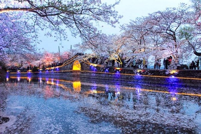 Wuxi Private Day Tour from Shanghai by Bullet Train with Drop-off Option - Practical Considerations and Value