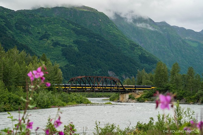 Bears, Trains & Icebergs Tour - Limitations and Considerations