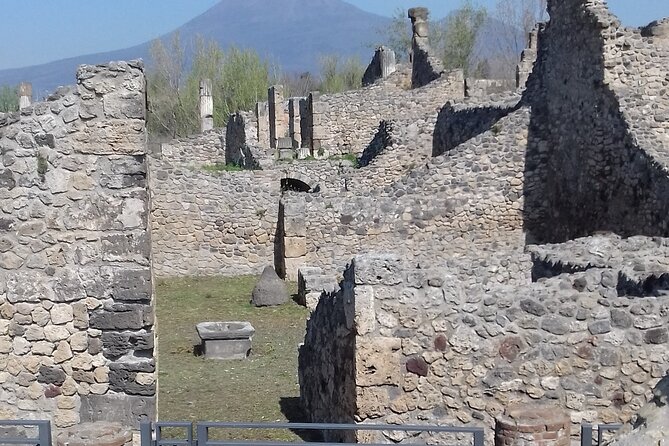 From Naples: Pompeii & Wine Tasting" Private Day Tour - The Sum Up: Is This Tour Right for You?