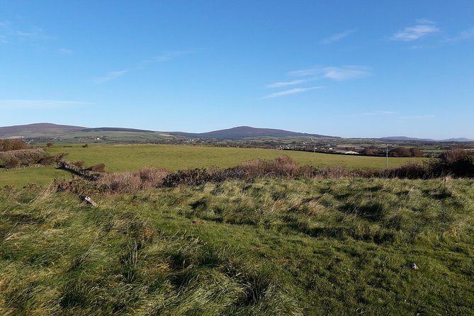 Steam Trains and Castles with qualified Isle of Man Tour Guide - Calf of Man Bird Observatory and Nature Reserve