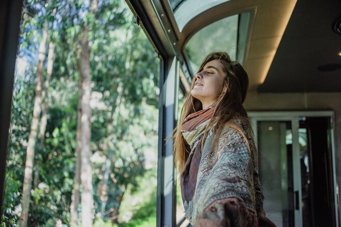 Cusco: First Class train to Machu Picchu fullday tour - Key Points