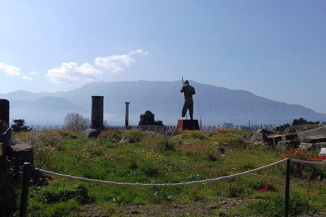 From Naples: Pompeii & Wine Tasting" Private Day Tour - Key Points