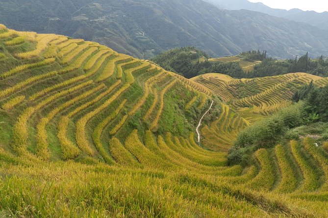 Guilin: Day tour of Longji Rice Terraces and Yangshuo - Discovering Guilin’s Natural and Cultural Wonders