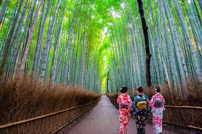 Kyoto Sansen-in Arashiyama Train 1 Day Tour from Osaka or Kyoto - Introduction