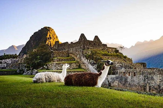 Machu By Train (Day Trip) - Key Points