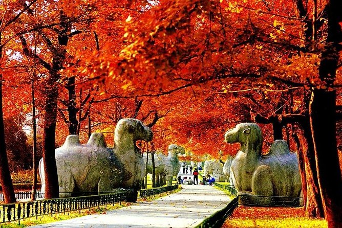 Nanjing City Private Customized Day Tour with Lunch - Key Points