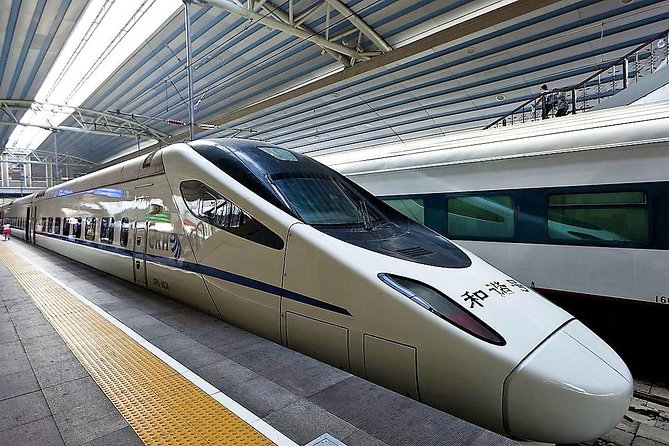 Private 1-way Transfer: Xi'an North Station/Airport to City Hotel - Key Points