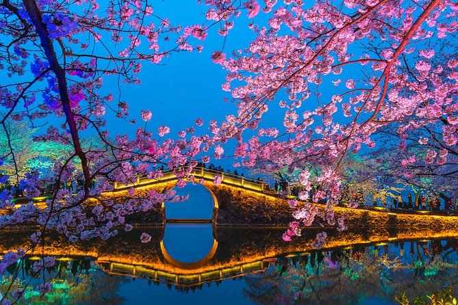 Private Wuxi Day Tour from Shanghai by Bullet Train - Key Points