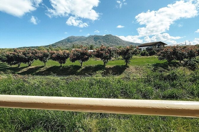 Scenic Railway Sugar Train Ride - Key Points