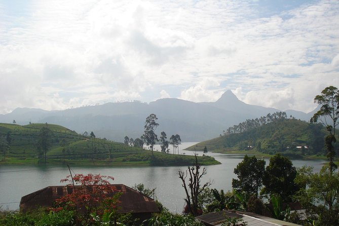 Sri Pada Mountain and Ella Train Journey from Kandy City - Key Points