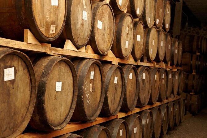 Tequila Day Trip from Guadalajara with Jose Cuervo Express Train - Key Points