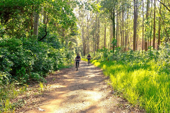 The Train Track Trail Mountain Bike Ride - Private experience - Key Points