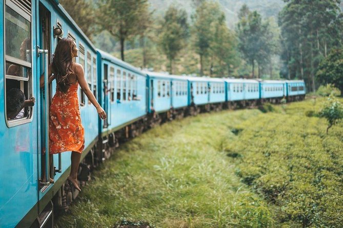 The World`s Most Beautiful Train Trip Kandy to Ella Private Day Tour - Key Points